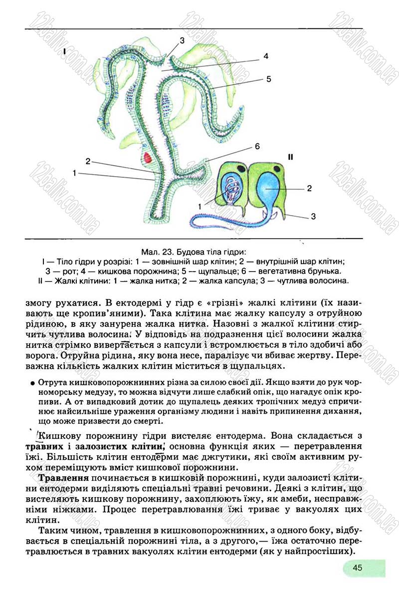 Сторінка 45 - Підручник Біологія 8 клас С.В. Межжерін, Я.О. Межжеріна 2008