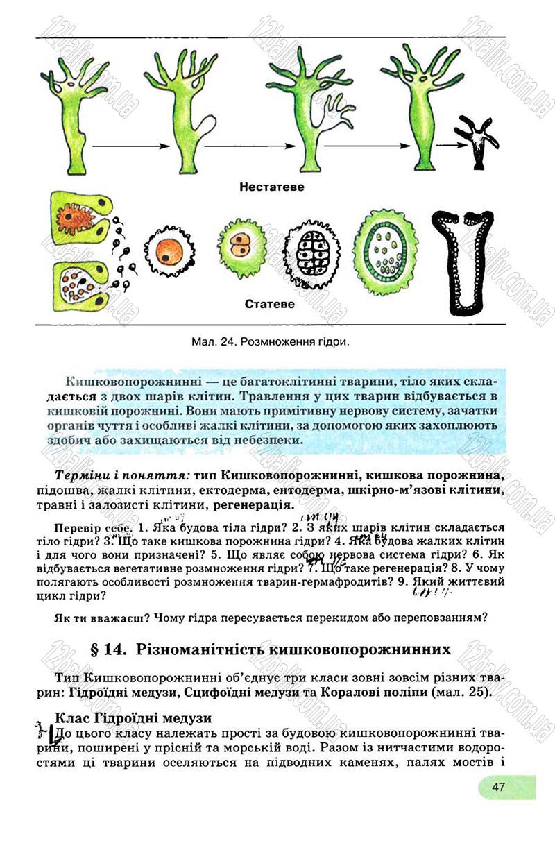 Сторінка 47 - Підручник Біологія 8 клас С.В. Межжерін, Я.О. Межжеріна 2008