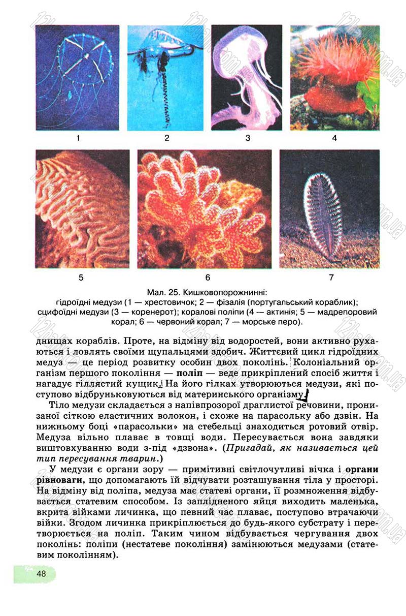 Сторінка 48 - Підручник Біологія 8 клас С.В. Межжерін, Я.О. Межжеріна 2008