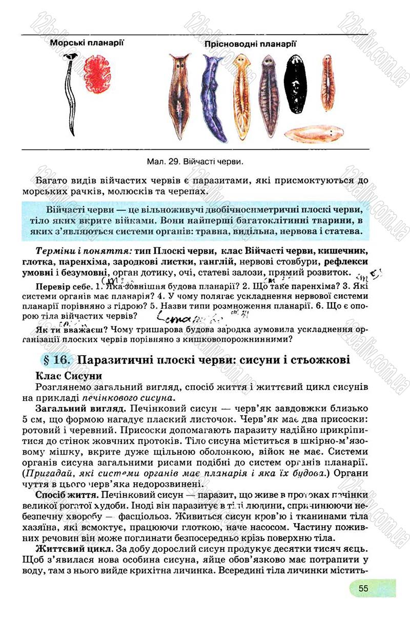 Сторінка 55 - Підручник Біологія 8 клас С.В. Межжерін, Я.О. Межжеріна 2008