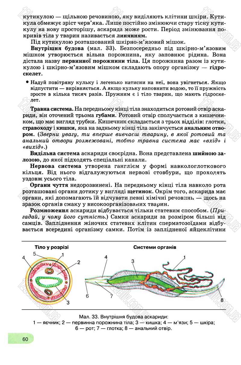 Сторінка 60 - Підручник Біологія 8 клас С.В. Межжерін, Я.О. Межжеріна 2008