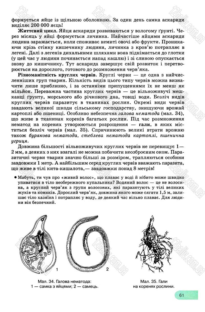 Сторінка 61 - Підручник Біологія 8 клас С.В. Межжерін, Я.О. Межжеріна 2008