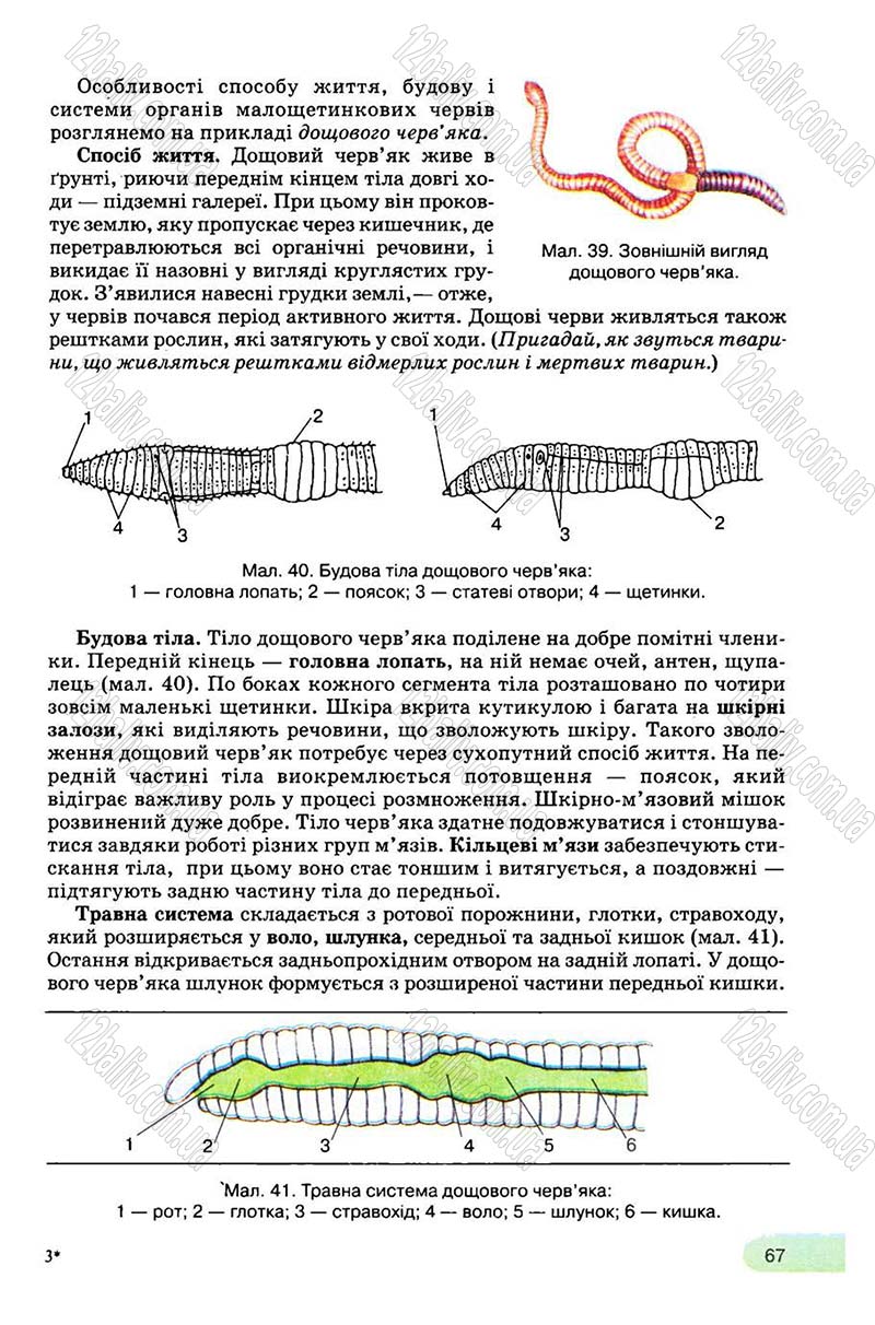 Сторінка 67 - Підручник Біологія 8 клас С.В. Межжерін, Я.О. Межжеріна 2008
