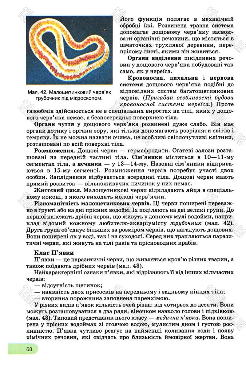 Сторінка 68 - Підручник Біологія 8 клас С.В. Межжерін, Я.О. Межжеріна 2008