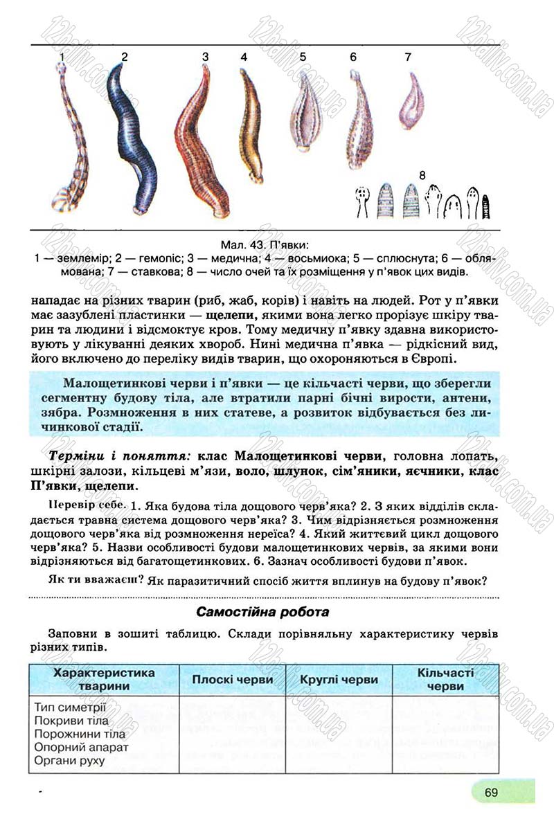 Сторінка 69 - Підручник Біологія 8 клас С.В. Межжерін, Я.О. Межжеріна 2008