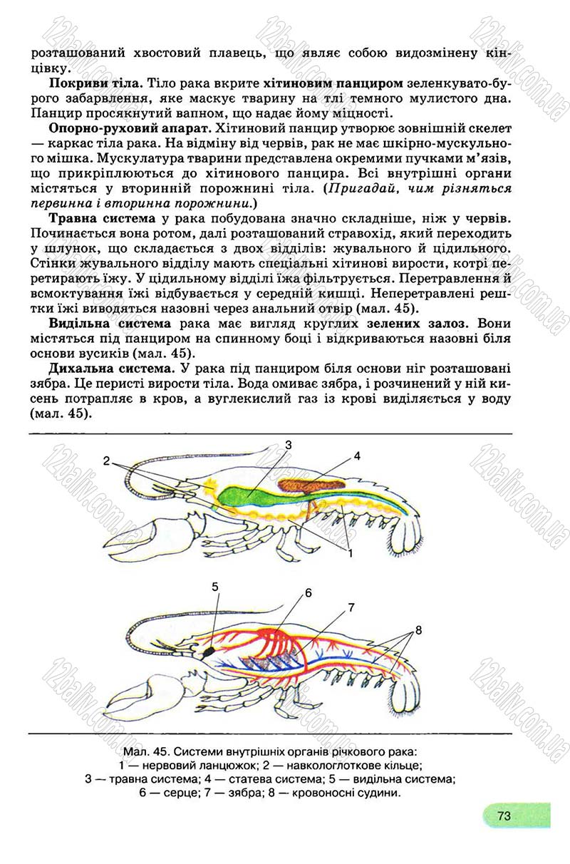 Сторінка 73 - Підручник Біологія 8 клас С.В. Межжерін, Я.О. Межжеріна 2008