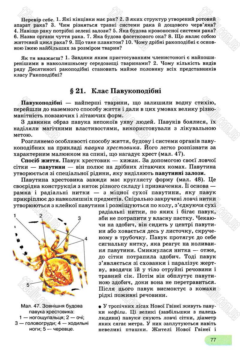 Сторінка 77 - Підручник Біологія 8 клас С.В. Межжерін, Я.О. Межжеріна 2008