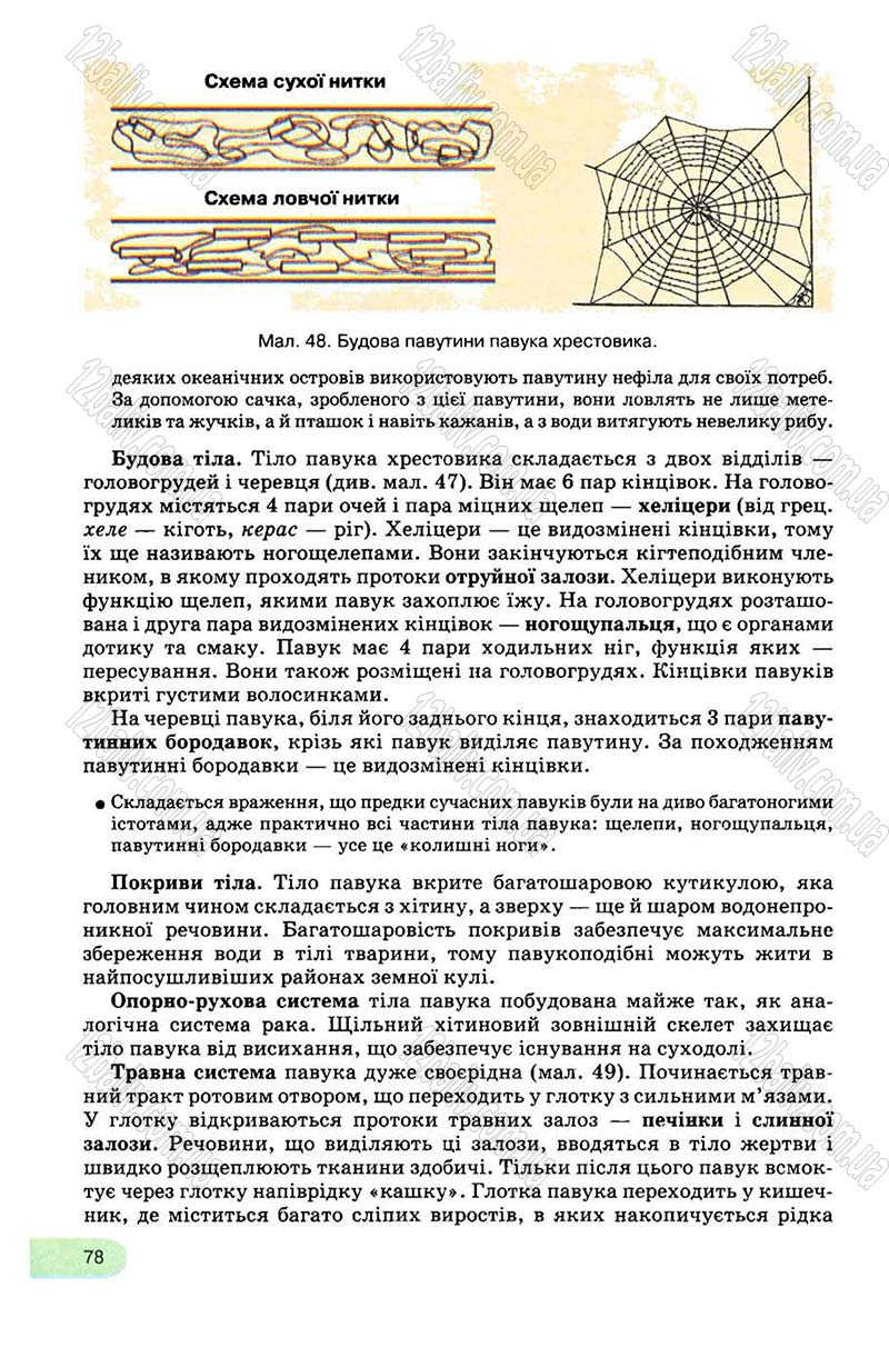 Сторінка 78 - Підручник Біологія 8 клас С.В. Межжерін, Я.О. Межжеріна 2008