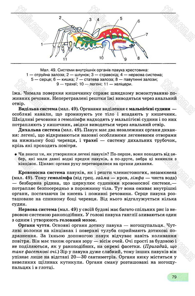 Сторінка 79 - Підручник Біологія 8 клас С.В. Межжерін, Я.О. Межжеріна 2008