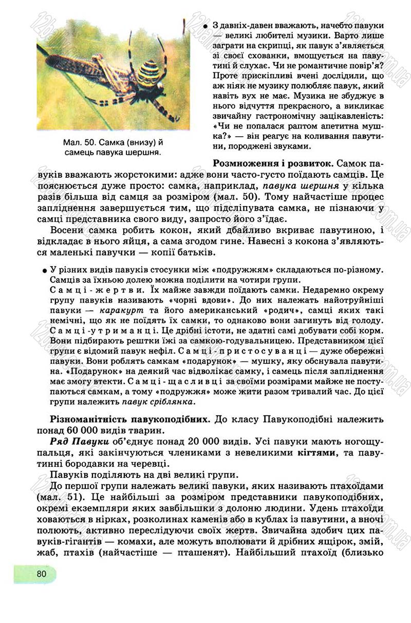 Сторінка 80 - Підручник Біологія 8 клас С.В. Межжерін, Я.О. Межжеріна 2008