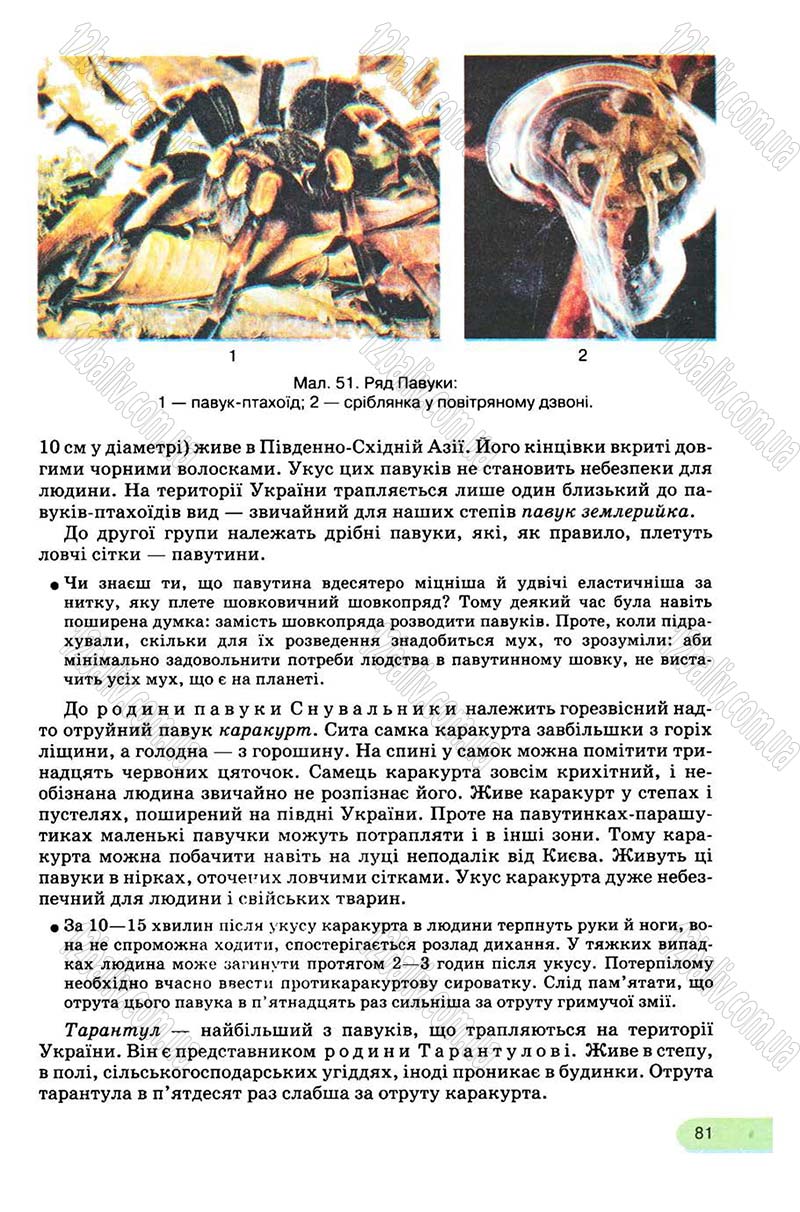 Сторінка 81 - Підручник Біологія 8 клас С.В. Межжерін, Я.О. Межжеріна 2008