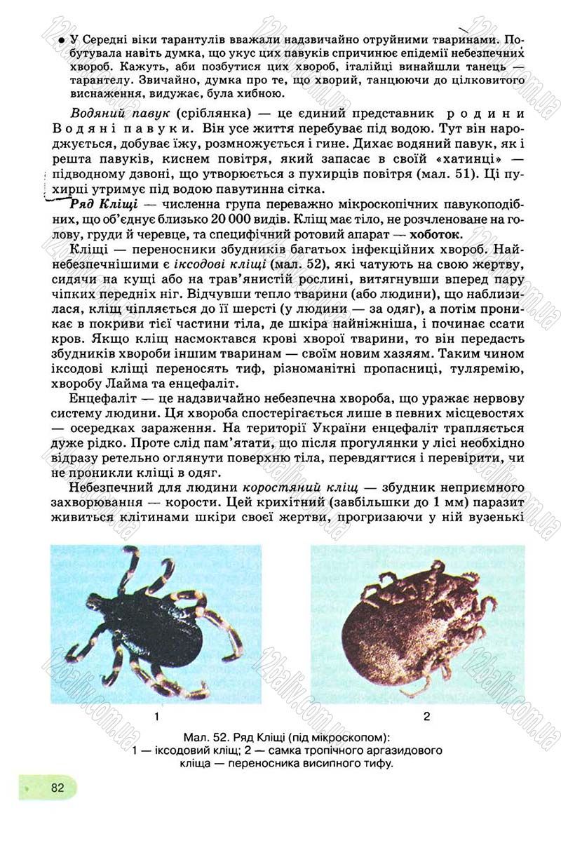 Сторінка 82 - Підручник Біологія 8 клас С.В. Межжерін, Я.О. Межжеріна 2008