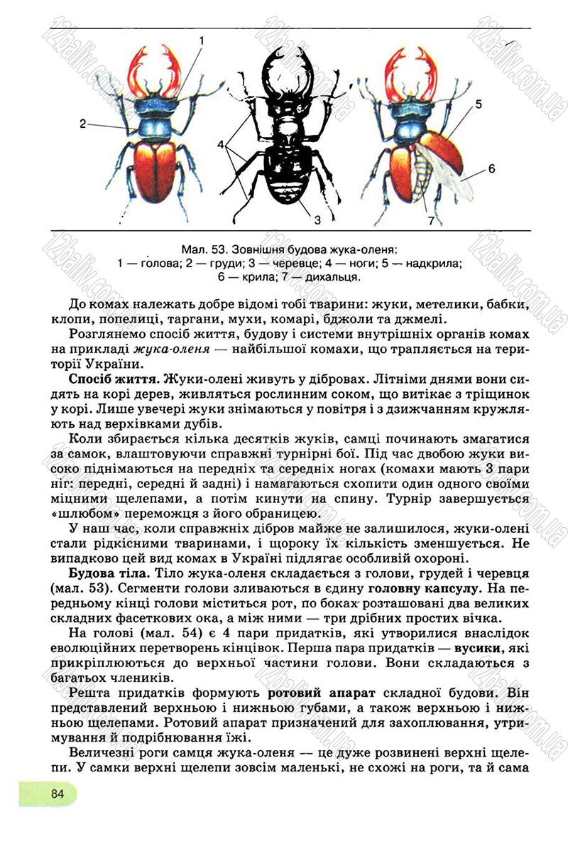 Сторінка 84 - Підручник Біологія 8 клас С.В. Межжерін, Я.О. Межжеріна 2008