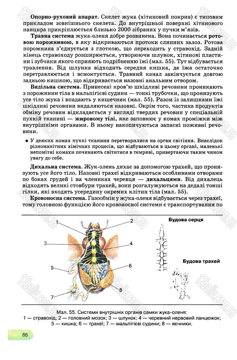 Сторінка 86 - Підручник Біологія 8 клас С.В. Межжерін, Я.О. Межжеріна 2008