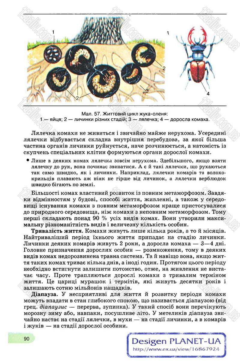 Сторінка 90 - Підручник Біологія 8 клас С.В. Межжерін, Я.О. Межжеріна 2008