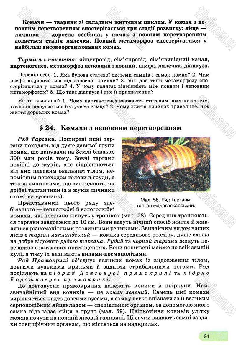 Сторінка 91 - Підручник Біологія 8 клас С.В. Межжерін, Я.О. Межжеріна 2008