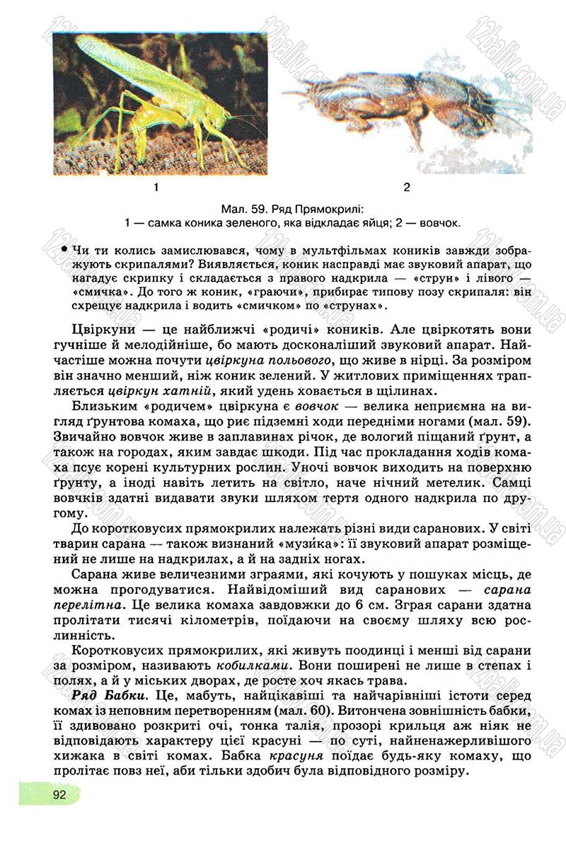 Сторінка 92 - Підручник Біологія 8 клас С.В. Межжерін, Я.О. Межжеріна 2008