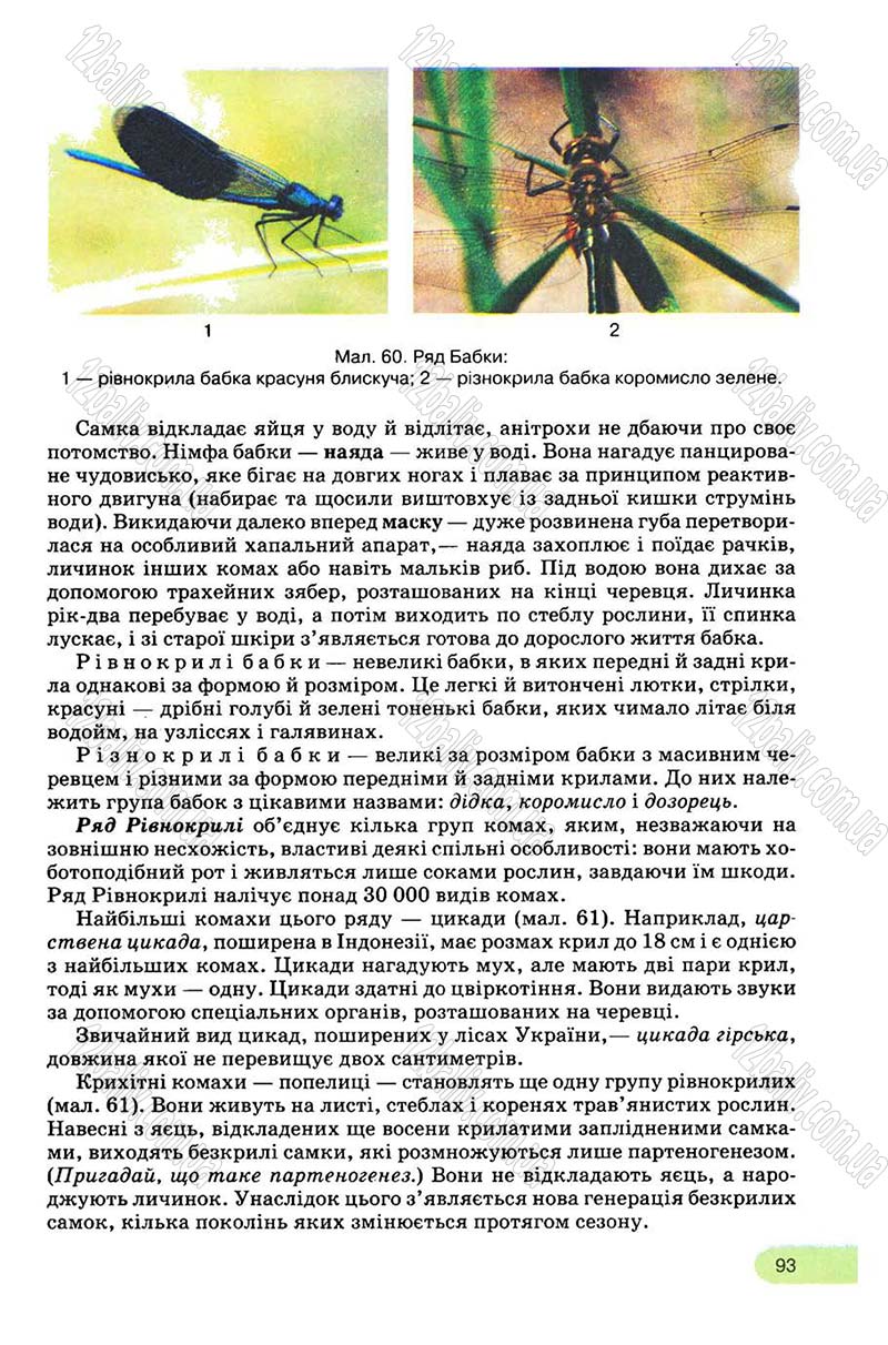 Сторінка 93 - Підручник Біологія 8 клас С.В. Межжерін, Я.О. Межжеріна 2008