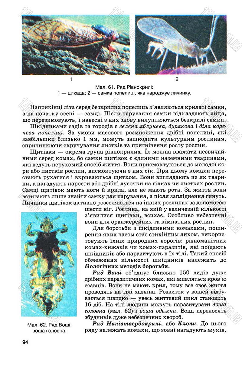 Сторінка 94 - Підручник Біологія 8 клас С.В. Межжерін, Я.О. Межжеріна 2008