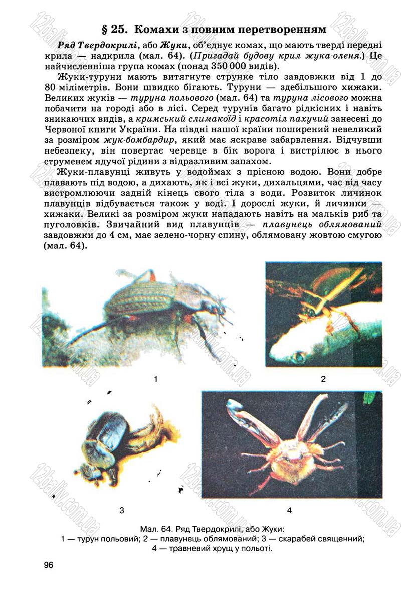 Сторінка 96 - Підручник Біологія 8 клас С.В. Межжерін, Я.О. Межжеріна 2008