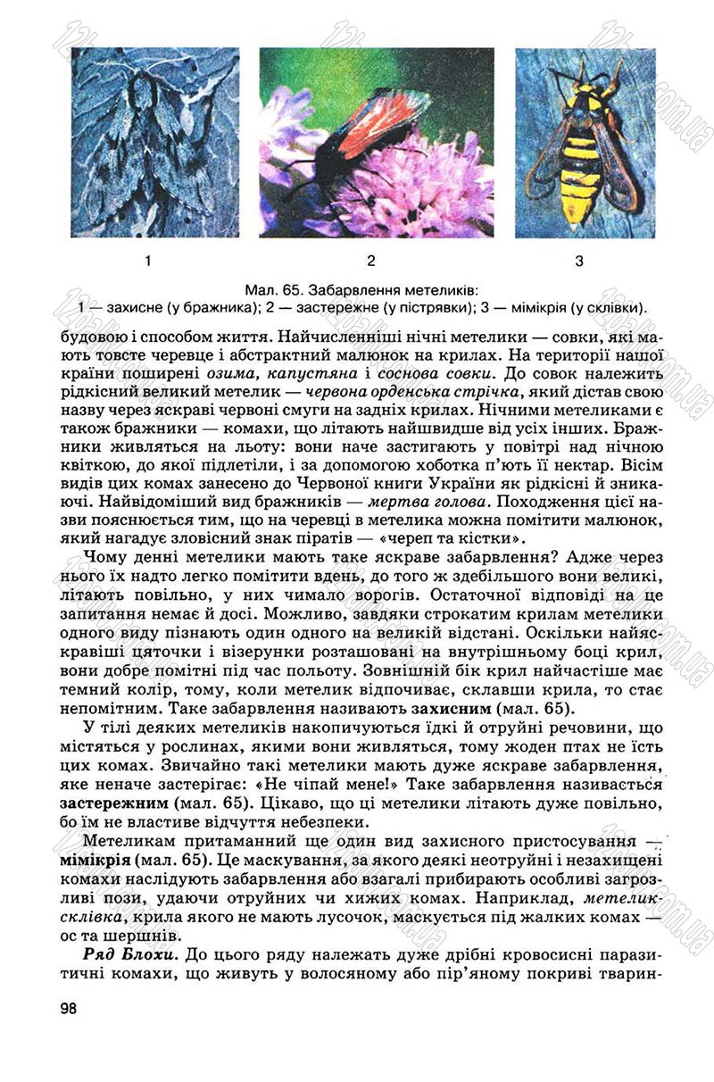 Сторінка 98 - Підручник Біологія 8 клас С.В. Межжерін, Я.О. Межжеріна 2008