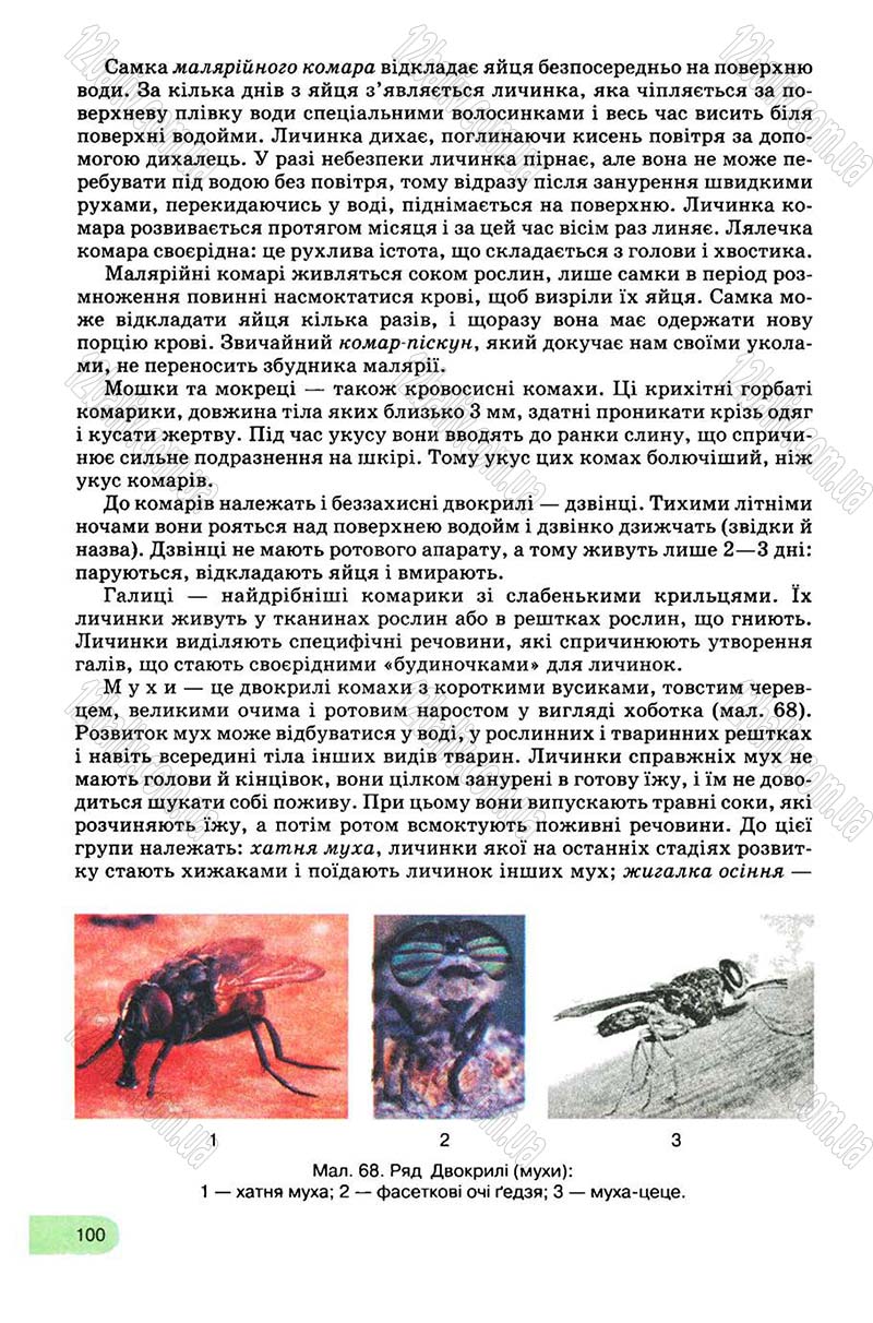 Сторінка 100 - Підручник Біологія 8 клас С.В. Межжерін, Я.О. Межжеріна 2008