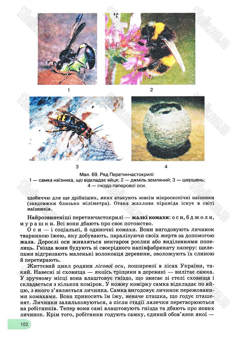 Сторінка 102 - Підручник Біологія 8 клас С.В. Межжерін, Я.О. Межжеріна 2008