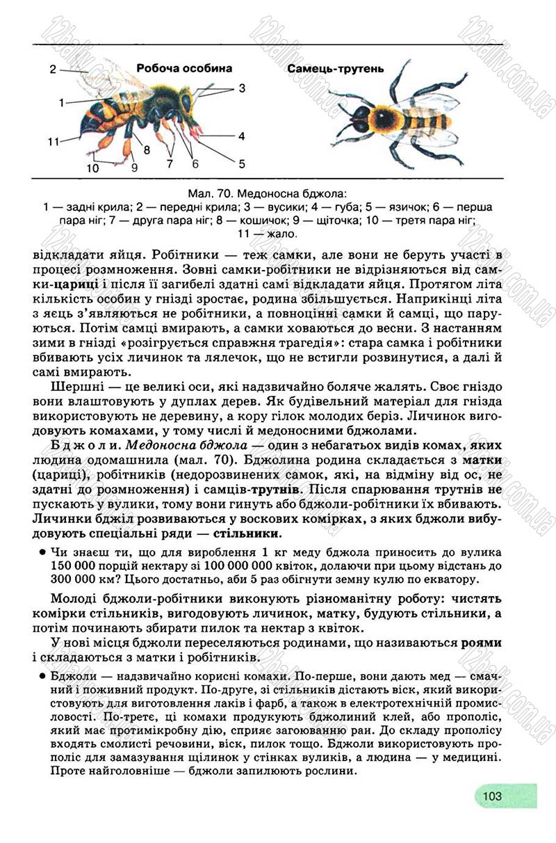 Сторінка 103 - Підручник Біологія 8 клас С.В. Межжерін, Я.О. Межжеріна 2008