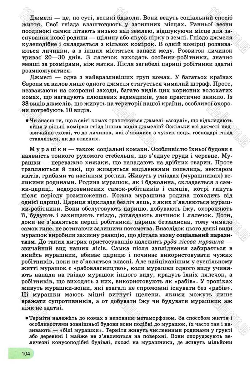 Сторінка 104 - Підручник Біологія 8 клас С.В. Межжерін, Я.О. Межжеріна 2008