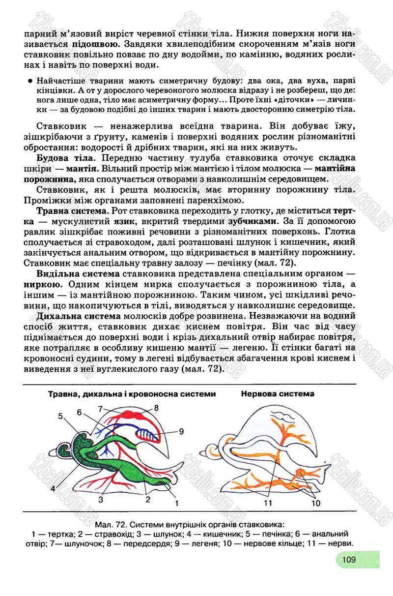 Сторінка 109 - Підручник Біологія 8 клас С.В. Межжерін, Я.О. Межжеріна 2008