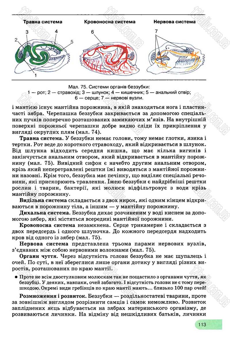 Сторінка 113 - Підручник Біологія 8 клас С.В. Межжерін, Я.О. Межжеріна 2008