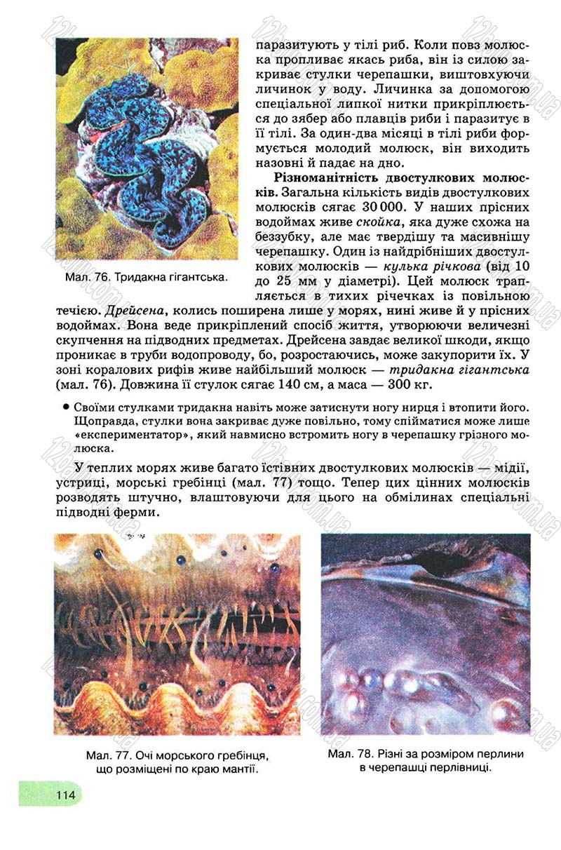 Сторінка 114 - Підручник Біологія 8 клас С.В. Межжерін, Я.О. Межжеріна 2008
