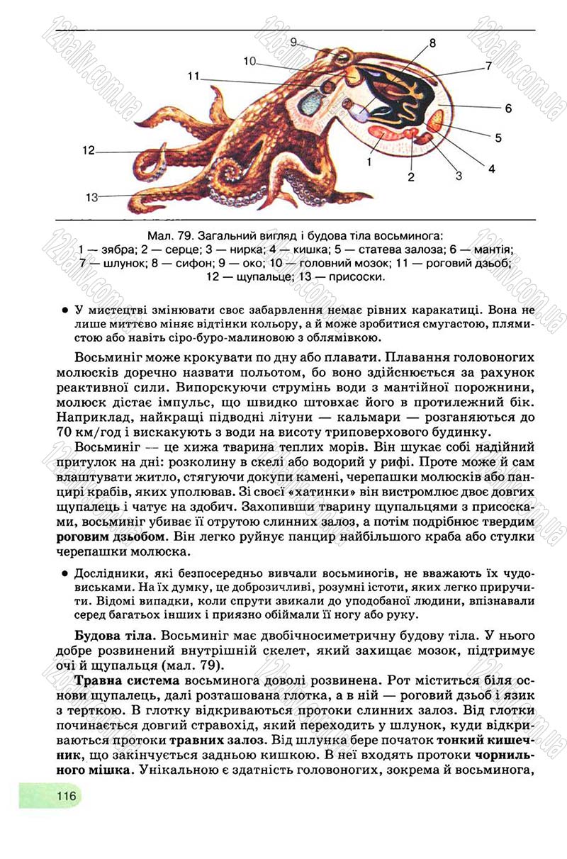 Сторінка 116 - Підручник Біологія 8 клас С.В. Межжерін, Я.О. Межжеріна 2008
