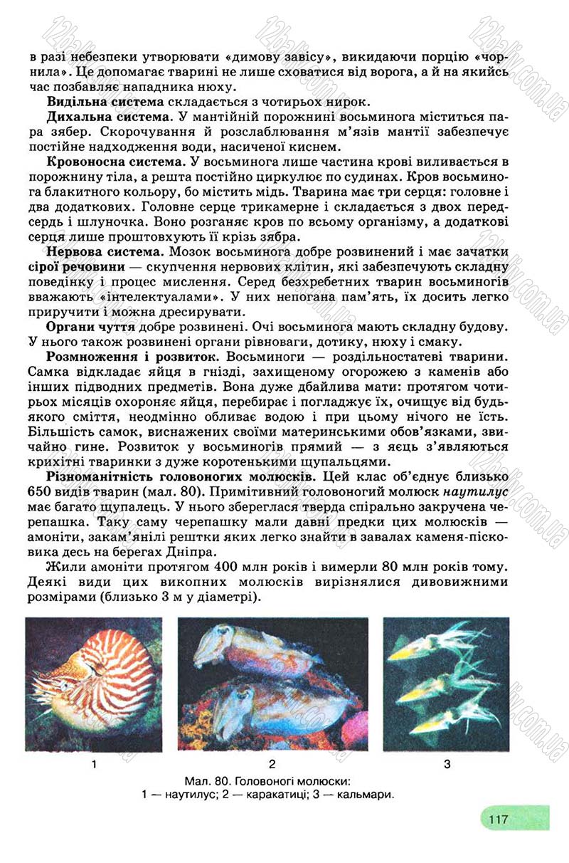 Сторінка 117 - Підручник Біологія 8 клас С.В. Межжерін, Я.О. Межжеріна 2008