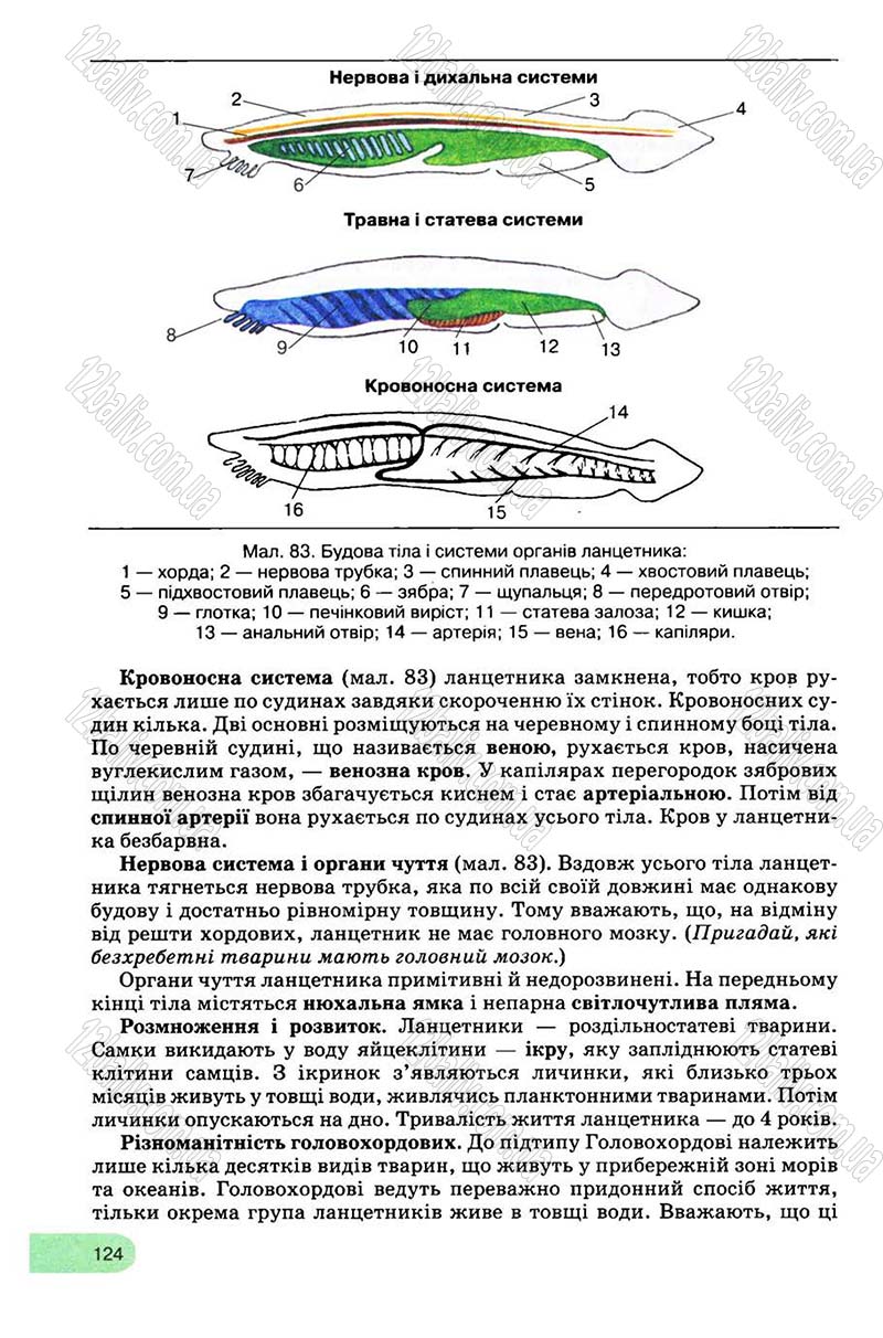 Сторінка 124 - Підручник Біологія 8 клас С.В. Межжерін, Я.О. Межжеріна 2008