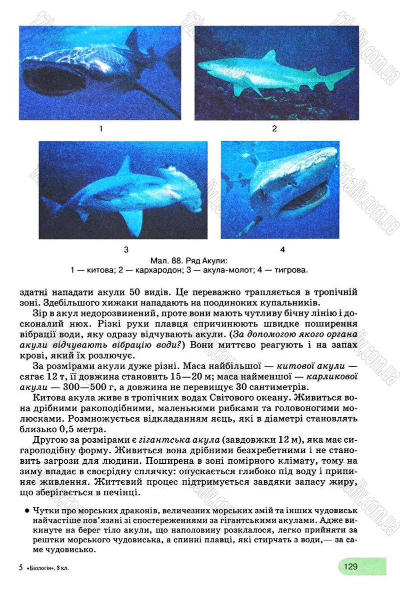 Сторінка 129 - Підручник Біологія 8 клас С.В. Межжерін, Я.О. Межжеріна 2008