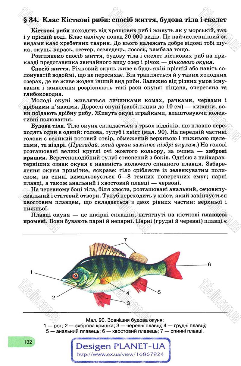 Сторінка 132 - Підручник Біологія 8 клас С.В. Межжерін, Я.О. Межжеріна 2008