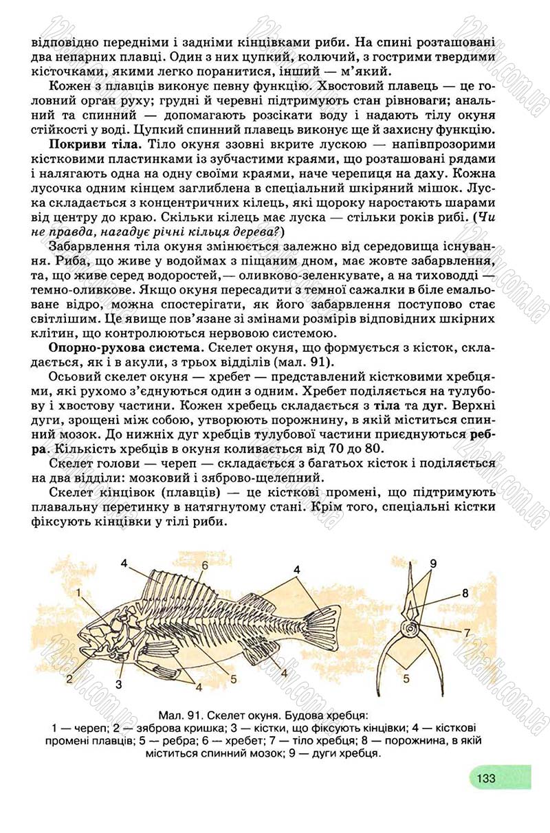 Сторінка 133 - Підручник Біологія 8 клас С.В. Межжерін, Я.О. Межжеріна 2008