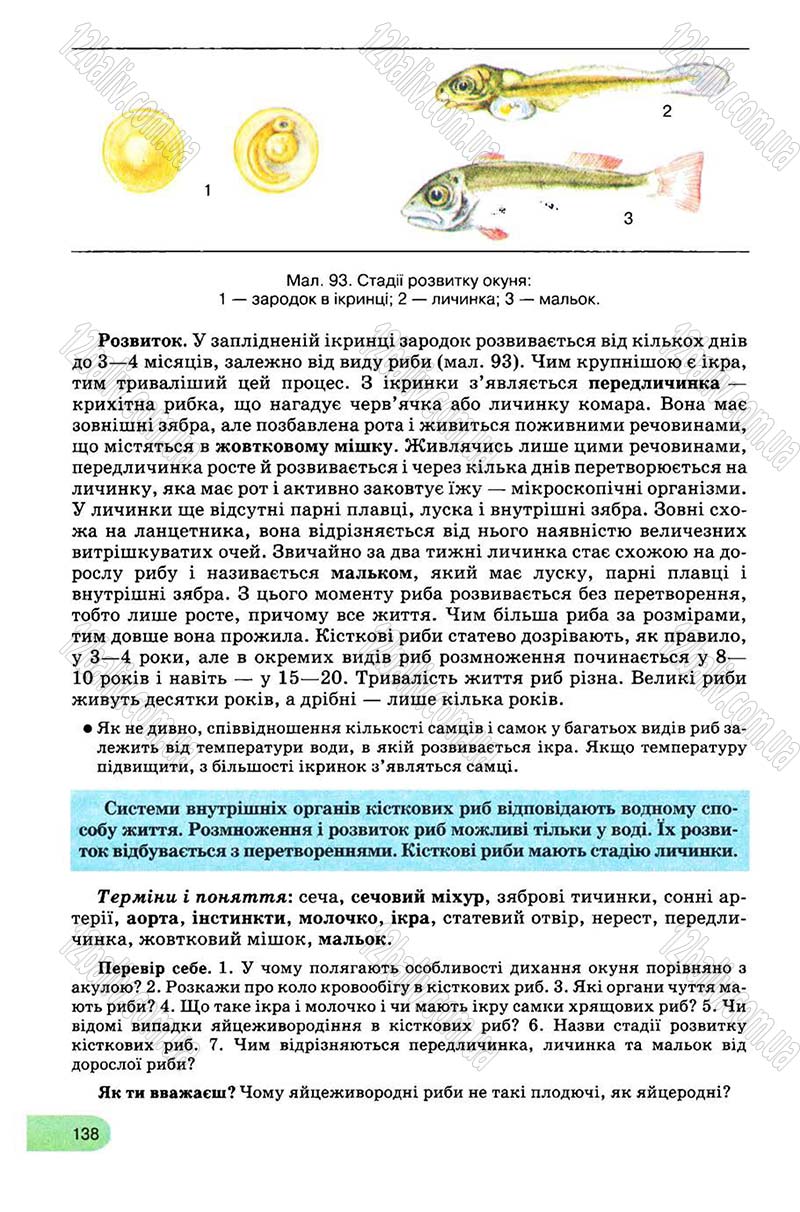 Сторінка 138 - Підручник Біологія 8 клас С.В. Межжерін, Я.О. Межжеріна 2008