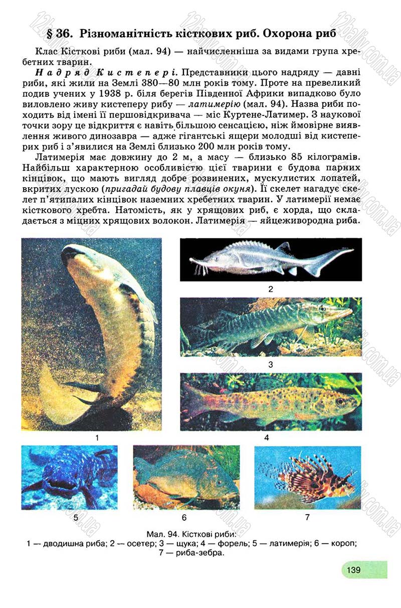 Сторінка 139 - Підручник Біологія 8 клас С.В. Межжерін, Я.О. Межжеріна 2008