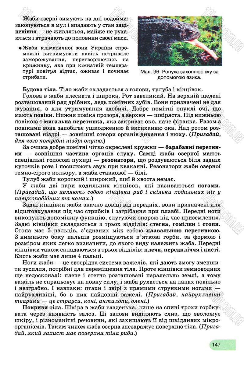 Сторінка 147 - Підручник Біологія 8 клас С.В. Межжерін, Я.О. Межжеріна 2008