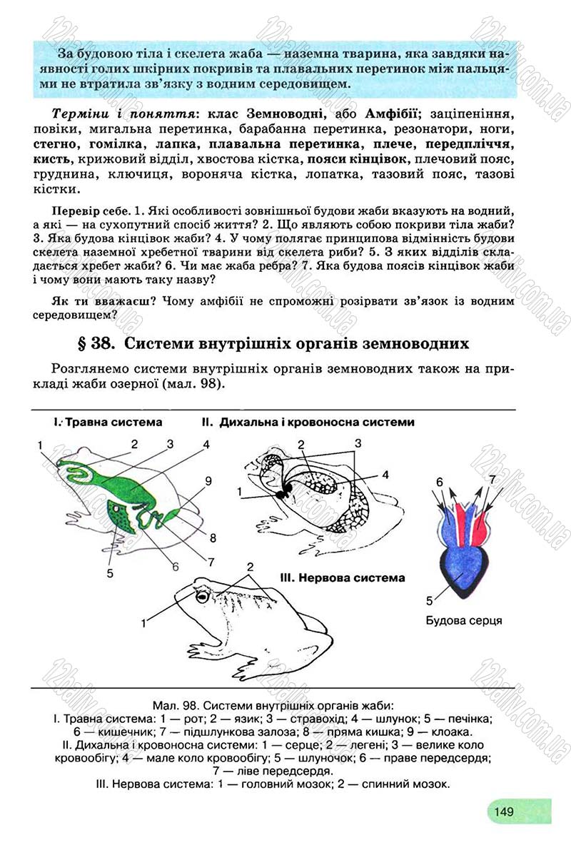 Сторінка 149 - Підручник Біологія 8 клас С.В. Межжерін, Я.О. Межжеріна 2008