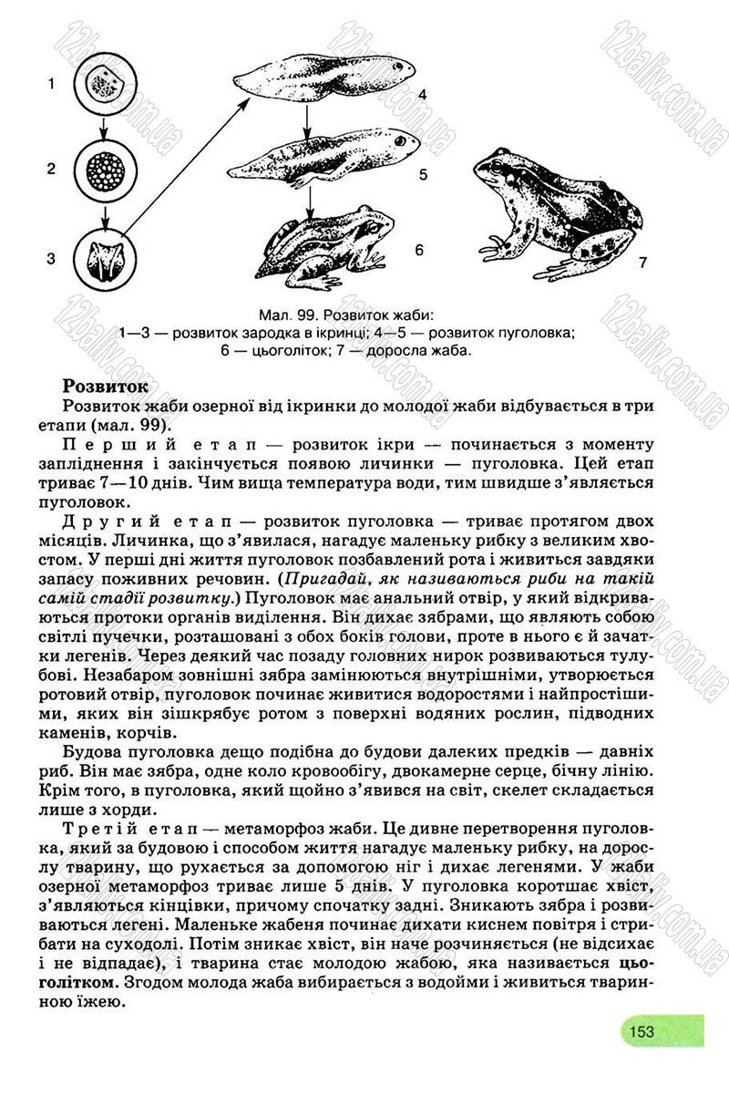 Сторінка 153 - Підручник Біологія 8 клас С.В. Межжерін, Я.О. Межжеріна 2008