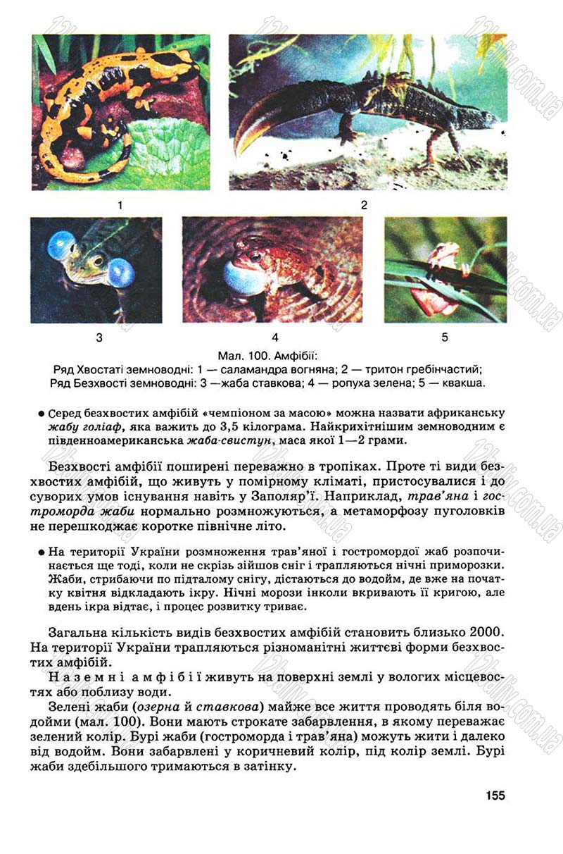 Сторінка 155 - Підручник Біологія 8 клас С.В. Межжерін, Я.О. Межжеріна 2008