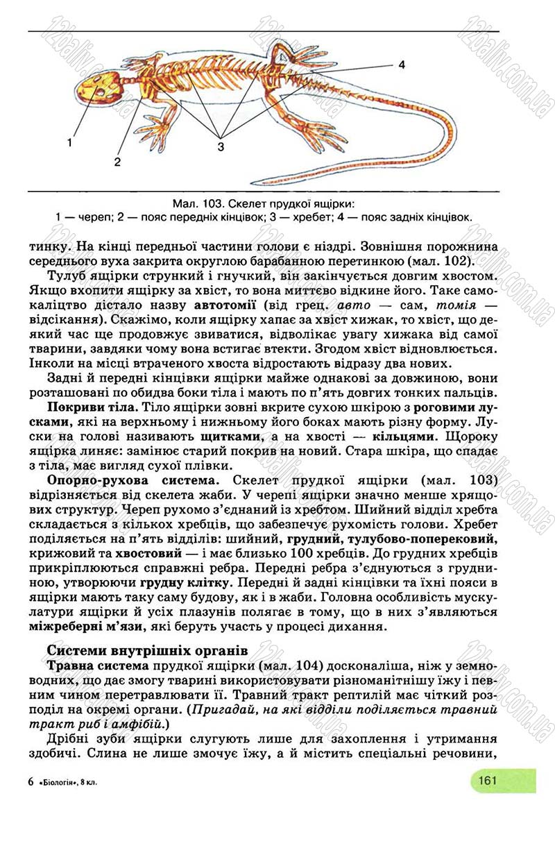 Сторінка 161 - Підручник Біологія 8 клас С.В. Межжерін, Я.О. Межжеріна 2008