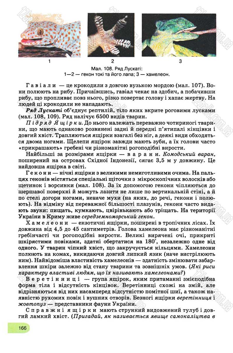 Сторінка 166 - Підручник Біологія 8 клас С.В. Межжерін, Я.О. Межжеріна 2008