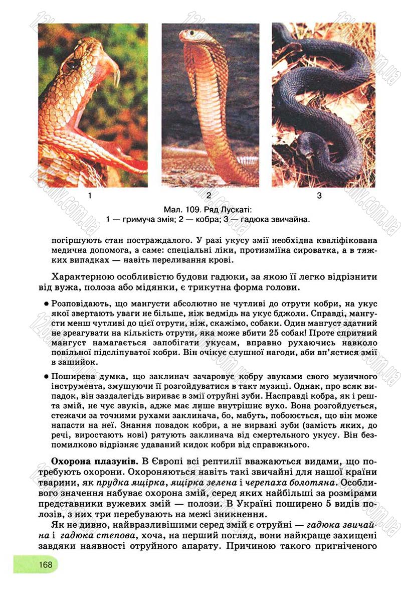 Сторінка 168 - Підручник Біологія 8 клас С.В. Межжерін, Я.О. Межжеріна 2008