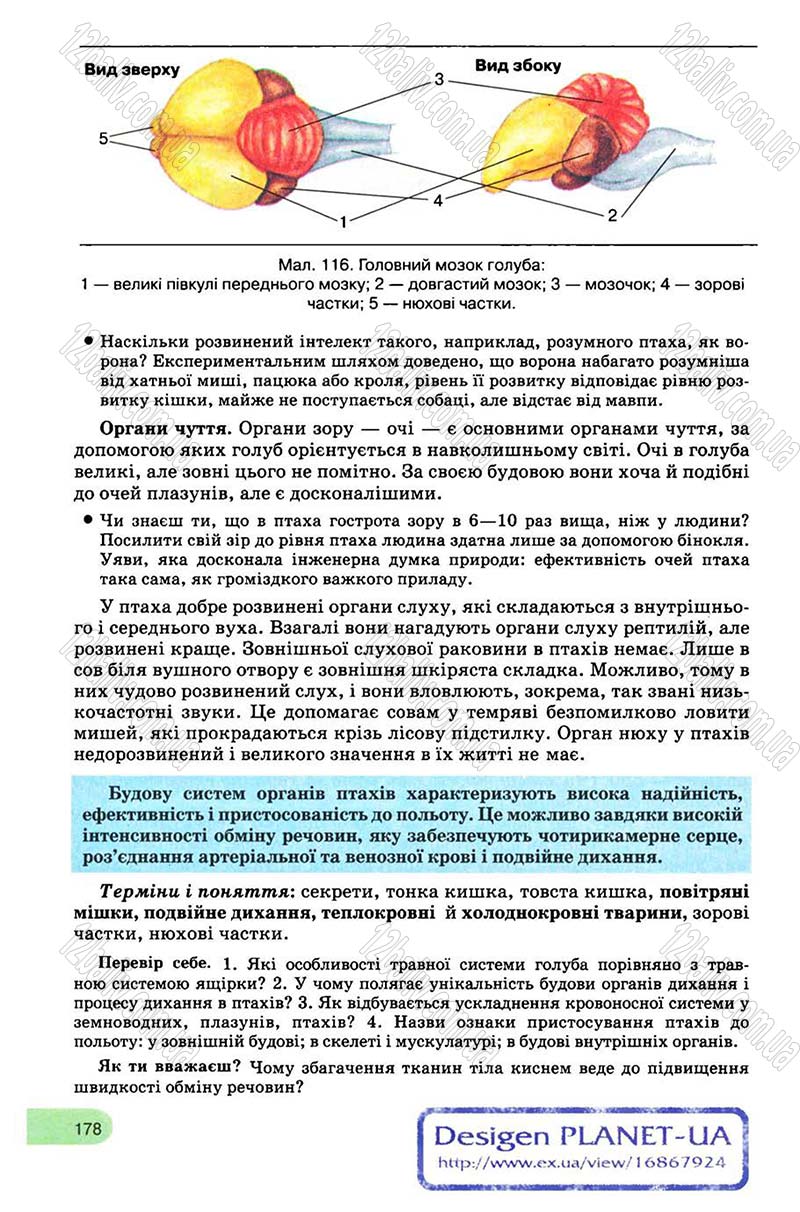 Сторінка 178 - Підручник Біологія 8 клас С.В. Межжерін, Я.О. Межжеріна 2008
