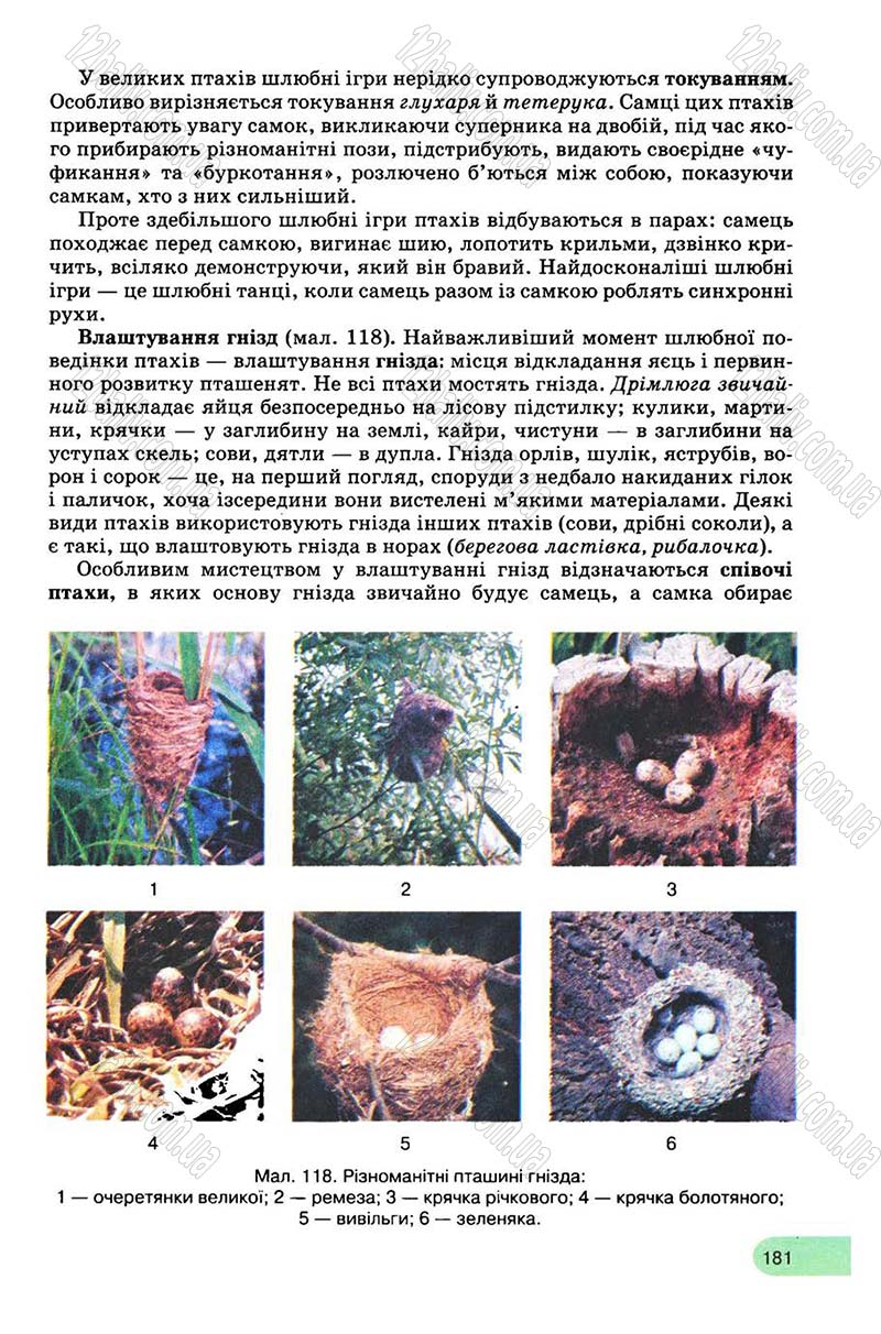 Сторінка 181 - Підручник Біологія 8 клас С.В. Межжерін, Я.О. Межжеріна 2008