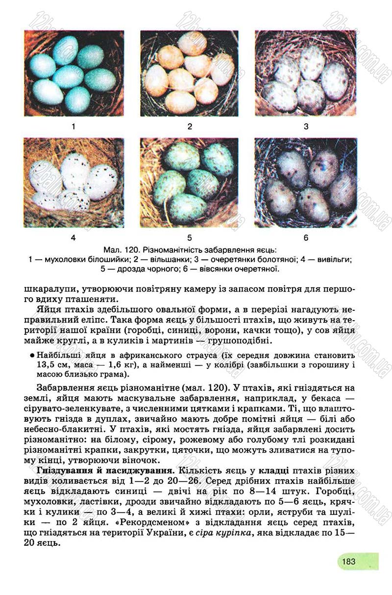 Сторінка 183 - Підручник Біологія 8 клас С.В. Межжерін, Я.О. Межжеріна 2008